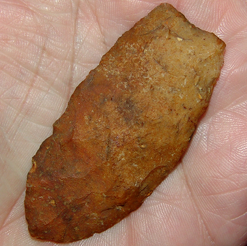 Rusty Unfluted Clovis